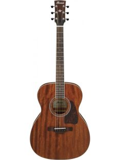   Ibanez Acoustic Guitar Artwood Thermo Aged OPN - Open Pore Natural