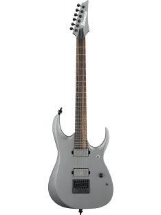 Ibanez RGD Axion Label - Metallic Gray Matte