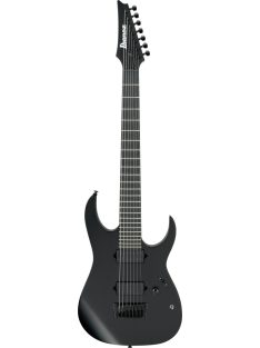 IBANEZ RG Iron Label - Black Flat